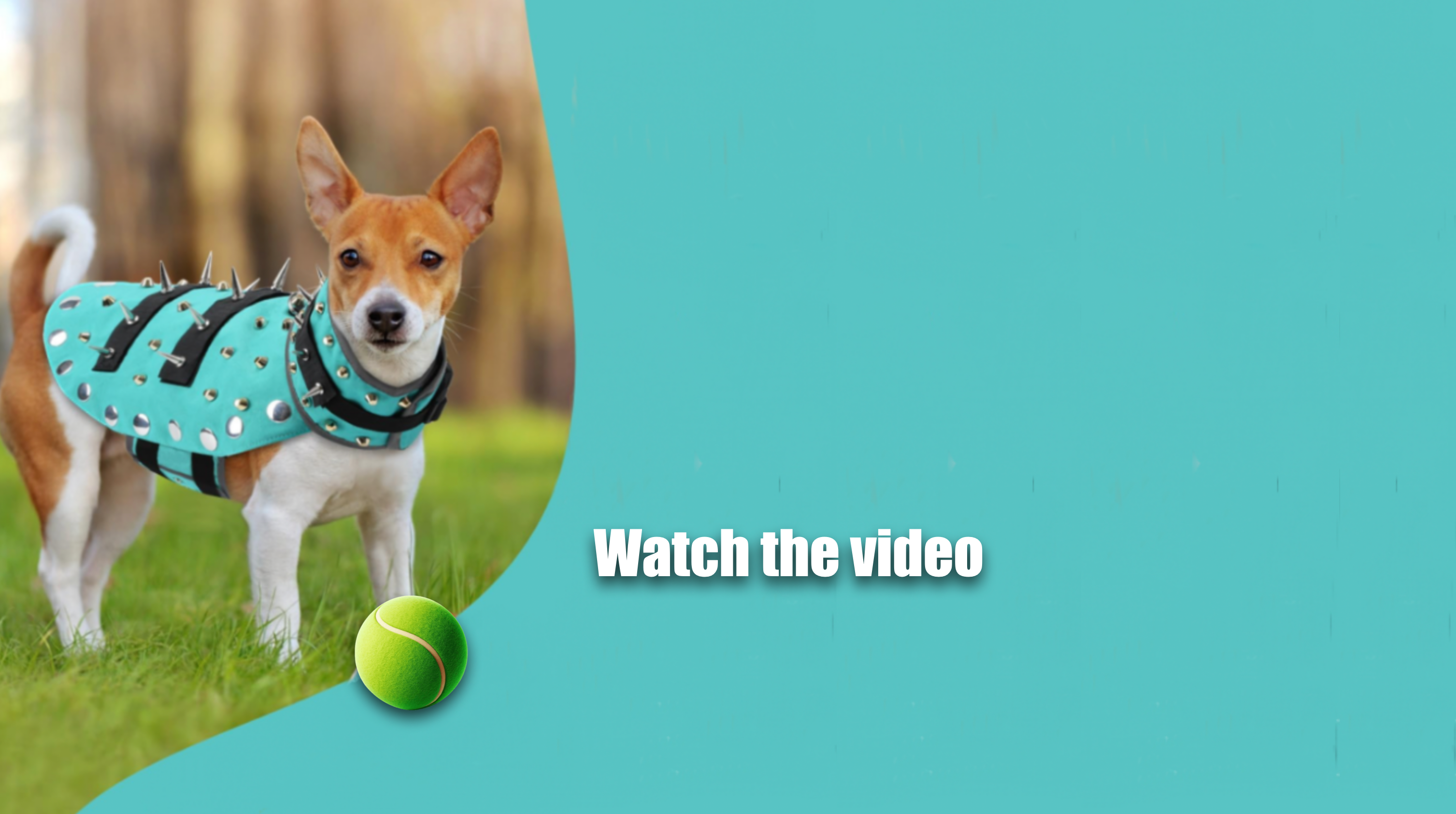 Load video: An easy guide to fitting your Ace Pet Vest